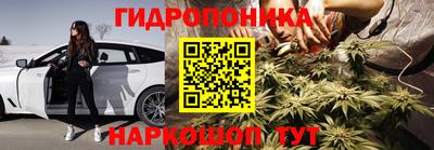 индика Свободный