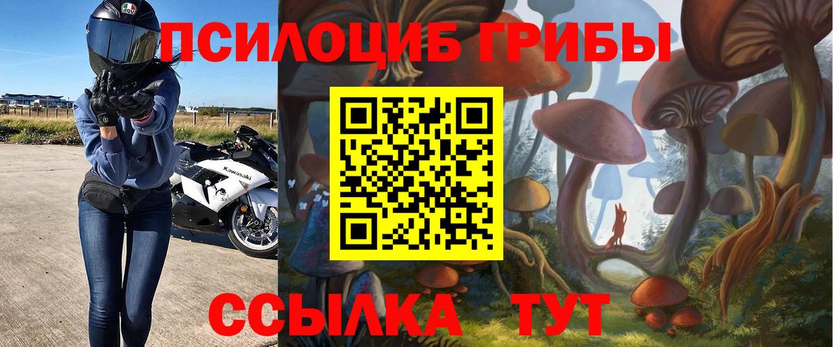 Псилоцибиновые грибы Cubensis  Псилоцибиновые грибы MAGIC MUSHROOMS  Вход с VPN  купить закладку  Югорск 