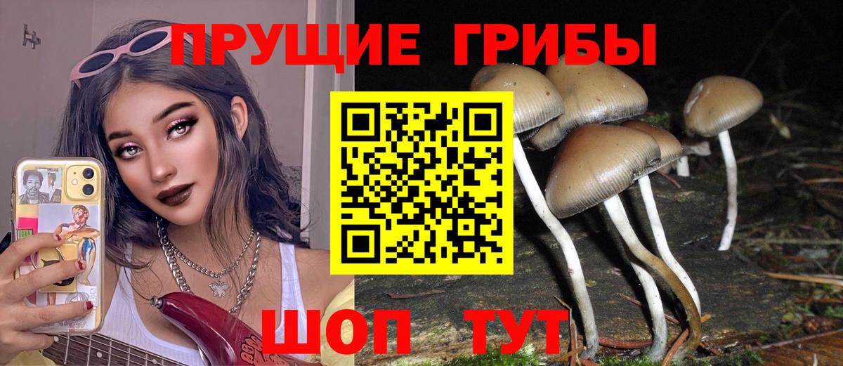 Галлюциногенные грибы прущие грибы Югорск